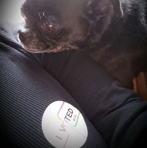 Meet your Posher, Elizabeth